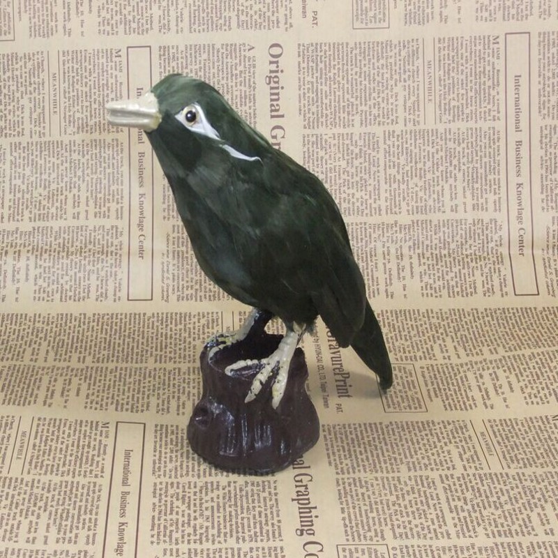 симпатична симулација Myna играчка прекрасна lifelike Myna занаетите птица за 11x7x19cm