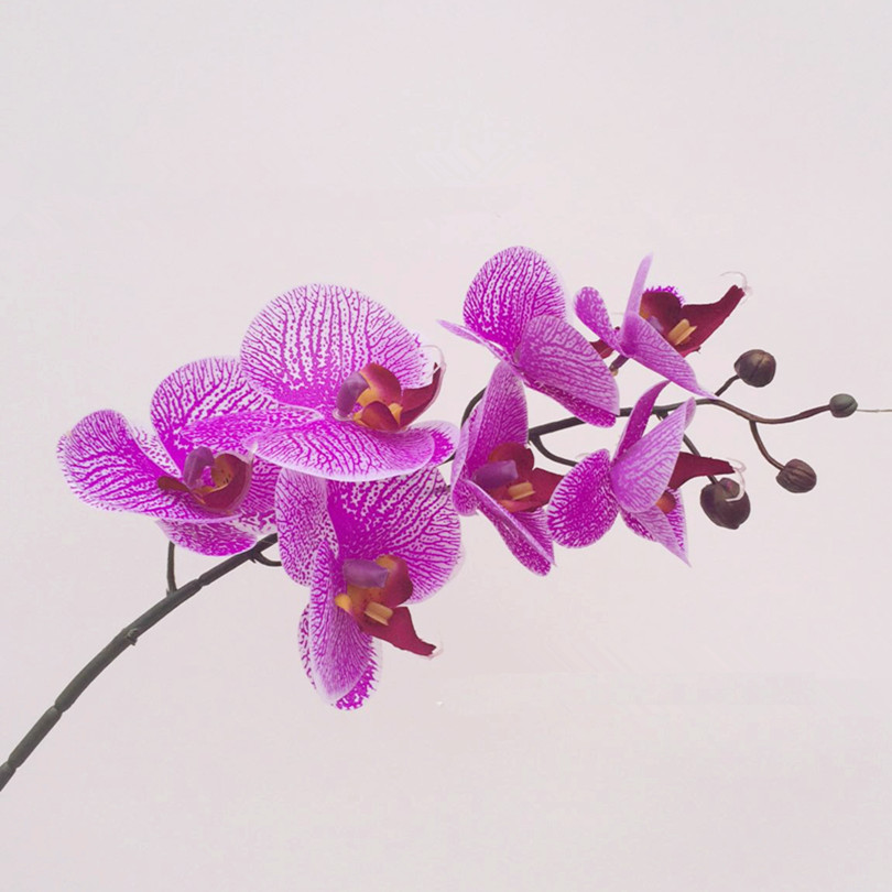 6p Реалниот Допир Орхидеи 7 Глави стп Орхидеи Лажни Phalaenopsis полесни пурпурна за Свадба Centerpieces Дома Партија Декоративни Цвеќиња