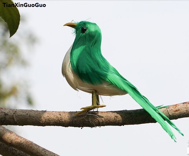 симулација птица тешко моделот на проп полиетилен&пердуви зелена птица за 12cm,занаетчиски дом градина декорација подарок s1065